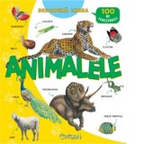 Descopera Lumea - Animalele (100 de ferestruici). Editia a 3-a - Anna Casalis