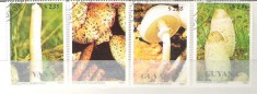 Guyana 1990 Mushrooms, used A.100 foto
