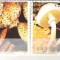 Guyana 1990 Mushrooms, used A.100