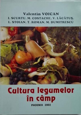 Cultura legumelor in camp &amp;ndash; Valentin Voican foto
