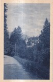 Castelul Peles (necirculata)