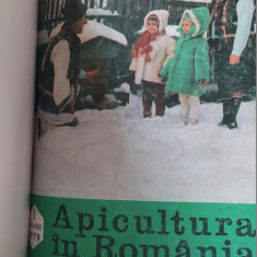 REVISTA APICULTURA IN ROMANIA ANUL 1979 , LOT 12 REVISTE AN COMPLET .