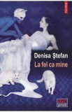 La fel ca mine - Denisa Stefan