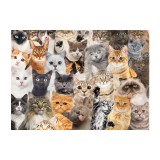 All the Cats 500 Piece Jigsaw Puzzle