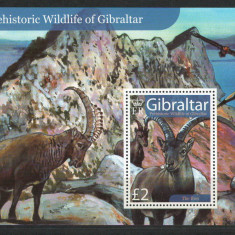 Gibraltar 2007 Mi 1223 bl 80 MNH - Fauna preistorica a Gibraltarului