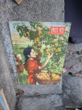 URSS AZI nr.8/1956