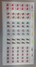 TIMBRE ROM&Acirc;NIA LP1397/1995- Preolimpiada ATLANTA -6 coli a 25 timbre MNH