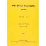 Nagy-Enyed pusztul&aacute;sa 1849-ben. Korrajz - Korrajz - Szil&aacute;gyi Farkas