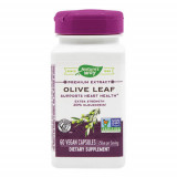 Olive Leaf 20% SE, 60cps, Nature&#039;s Way