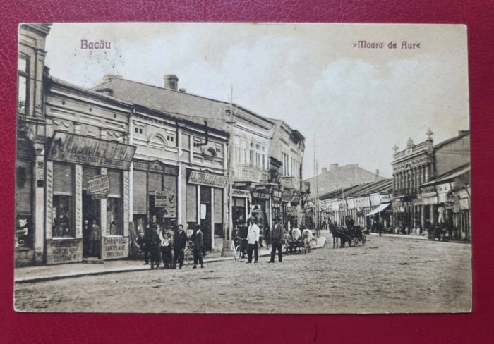 Bacau Moara de Aur