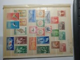 Lot timbre new zealand