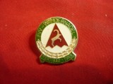 Insigna veche Turistica -Pertisau -Tirol ,metal si email ,d=2,5cm