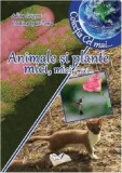 Animale si plante mici mici mici - Ars Libri
