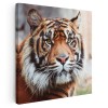 Tablou portret tigru de Sumatra Tablou canvas pe panza CU RAMA 40x40 cm