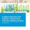 Carbon Pricing for Energy Transition and Decarbonization