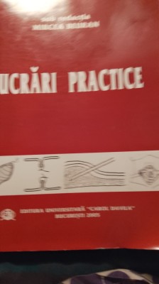 Mircea beuran,lucrări practice,2005 foto
