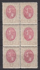 ROMANIA 1900 LP 53 i REGELE CAROL I SPIC DE GRAU FILIGRAN STEMA MARE 1 LEU BRUN GRI EFIGIA ROZ BLOC DE 6 TIMBRE STARE MNH