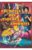 Frumoasa din padurea adormita dupa fratii Grimm - Carte de colorat A4