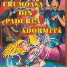 Frumoasa din padurea adormita dupa fratii Grimm - Carte de colorat A4