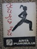 Kung Fu. Arta Pumnului, Liviu Tilica, 1990, Arte Martiale, Editura Flamenco, 51 pagini
