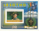 Lesotho 1982 - Organizatii Internationale , Cercetasi , colita dantelata , MNH ,Mi.Bl.13