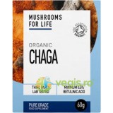 Organic Chaga 1000mg Pure Grade Extract Powder Ecologic/Bio 60g