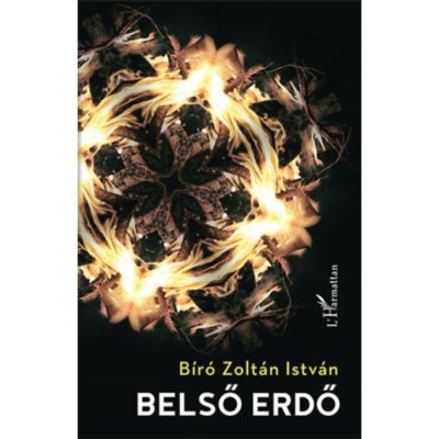 Belső erdő - B&amp;iacute;r&amp;oacute; Zolt&amp;aacute;n Istv&amp;aacute;n foto