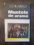 MUNTELE DE ARAMA-ELENA MATASA