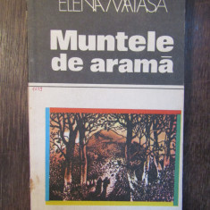 MUNTELE DE ARAMA-ELENA MATASA