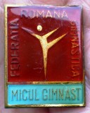 I.027 INSIGNA ROMANIA SPORT FEDERATIA ROMANA GIMNASTICA MICUL GIMNAST