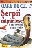 Amanda O'Neill - Oare de ce...? Serpii naparlesc, Carte pentru Copii si Adulti, Stiinta si Natura, Ilustrata, 32 Pagini, Limba Romana