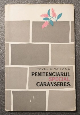 Pavel C&amp;icirc;mpeanu - Penitenciarul special Caransebeș (versuri) foto
