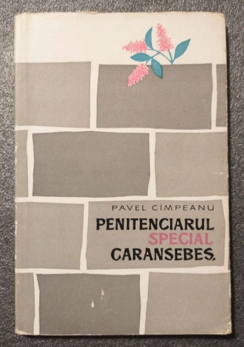 Pavel C&icirc;mpeanu - Penitenciarul special Caransebeș (versuri)