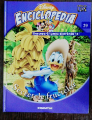 ENCICLOPEDIA DISNEY - SECRETELE FRUCTELOR NR 29 foto