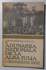 I. Gheorghiu; C. Nu?u - Adunarea Na?ionala de la Alba Iulia - 1 decembrie 1918 foto