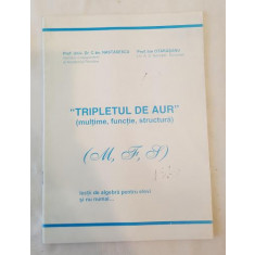 Tripletul de aur (multime functie structura)