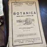 Coralia Vernescu Botanica pentru clasa a II-a gimnaziului unic (1947)