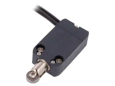 Limitator cursă rolă metalică &amp;Oslash;12mm 10A 250VAC NF B110BB-DN2 foto