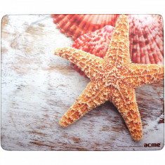 Mousepad ACME Standard Sea Shells foto