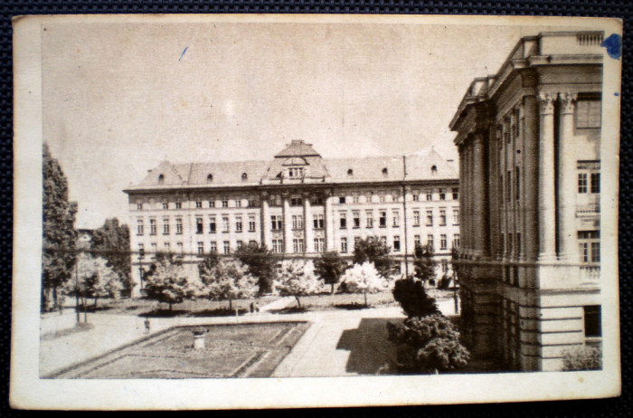 P.364 CP ROMANIA TIMISOARA INSTITUTUL MEDICO-FARMACEUTIC 1955