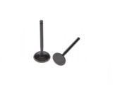 Set Supape Admisie Evacuare YX160 Cross, Tije 5.4mm, Admisie 27.9mm, Evacuare 22.9mm, Lungime 73.1mm/71.5mm