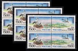 3X RUSIA 1995 - Colectia EUROPA, Pasari / # 3 serii complete perechi MNH #, Nestampilat