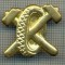 Y 1830 INSIGNA - MILITARA -SEMN DE ARMA - AUTO -PENTRU COLECTIONARI