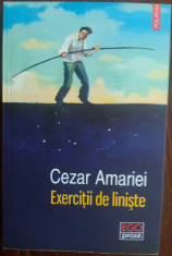 CEZAR AMARIEI - EXERCITII DE LINISTE (POVESTIRI) [2021] foto