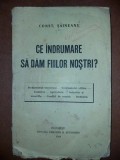 Ce indrumare sa dam fiilor nostri? - Const. Saineanu