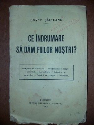Ce indrumare sa dam fiilor nostri? - Const. Saineanu foto