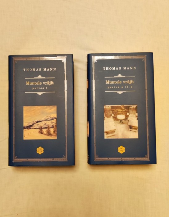 Thomas Mann - Muntele vrăjit