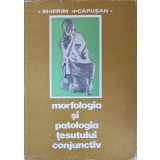 MORFOLOGIA SI PATOLOGIA TESUTULUI CONJUNCTIV-M. IFRIM, I. CAPUSAN-217491