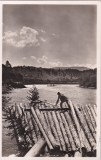 Romania. Rafts on the Bistrita (Moldova) (necirculata)