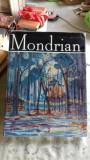 MONDRIAN - VICTOR IERONIM STOICHITA